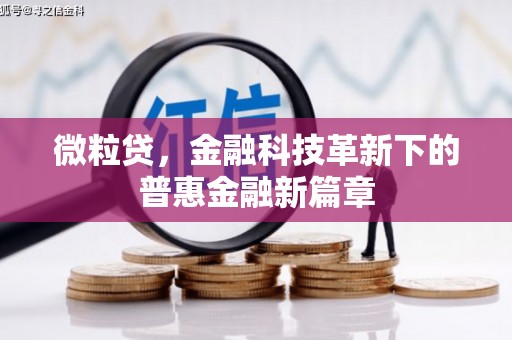 沈丘微粒贷，金融科技革新下的普惠金融新篇章
