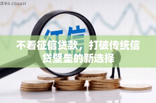 沈丘不看征信贷款，打破传统信贷壁垒的新选择