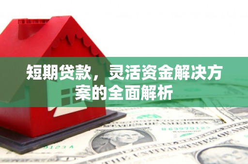 沈丘短期贷款，灵活资金解决方案的全面解析