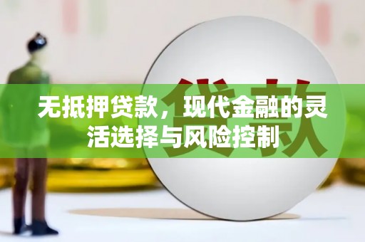 沈丘无抵押贷款，现代金融的灵活选择与风险控制