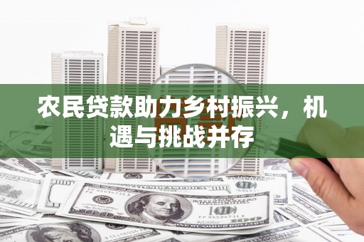 沈丘农民贷款助力乡村振兴，机遇与挑战并存