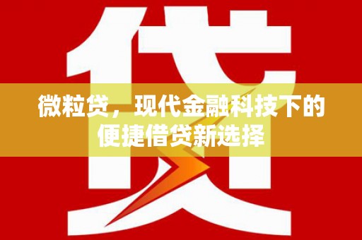 沈丘微粒贷，现代金融科技下的便捷借贷新选择