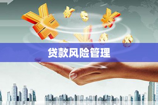 沈丘贷款风险管理