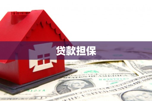 沈丘贷款担保
