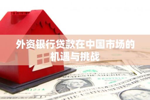 沈丘外资银行贷款在中国市场的机遇与挑战