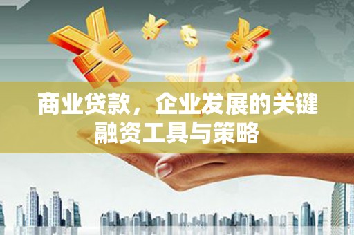 沈丘商业贷款，企业发展的关键融资工具与策略