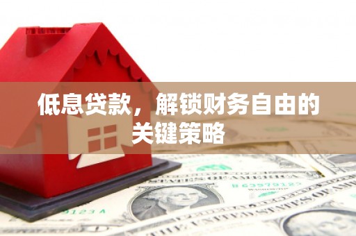 沈丘低息贷款，解锁财务自由的关键策略