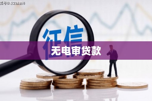 沈丘无电审贷款