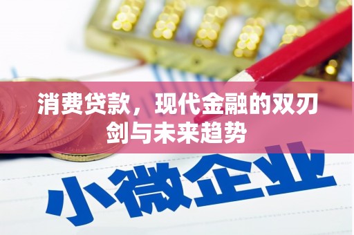 沈丘消费贷款，现代金融的双刃剑与未来趋势