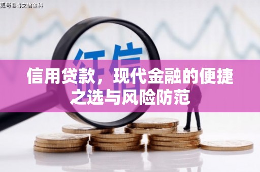 沈丘信用贷款，现代金融的便捷之选与风险防范