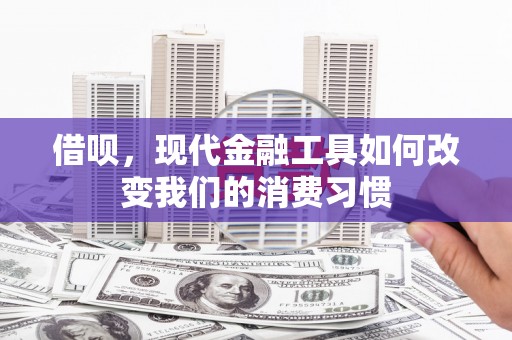 沈丘借呗，现代金融工具如何改变我们的消费习惯