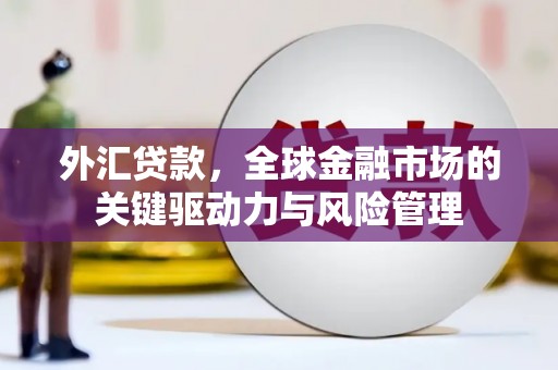 沈丘外汇贷款，全球金融市场的关键驱动力与风险管理