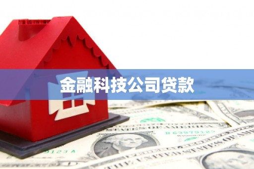 沈丘金融科技公司贷款