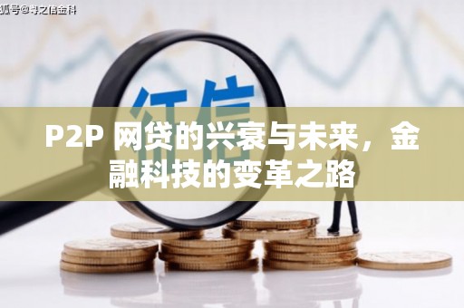 沈丘P2P 网贷的兴衰与未来，金融科技的变革之路
