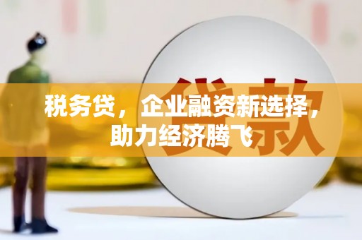 沈丘税务贷，企业融资新选择，助力经济腾飞