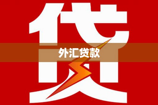 沈丘外汇贷款