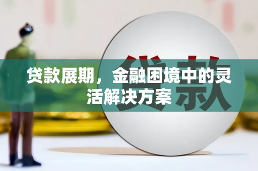沈丘贷款展期，金融困境中的灵活解决方案