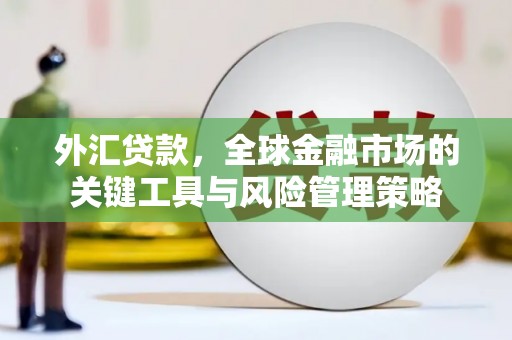 沈丘外汇贷款，全球金融市场的关键工具与风险管理策略