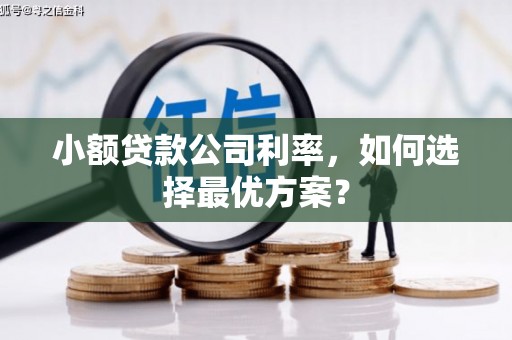 沈丘小额贷款公司利率，如何选择最优方案？