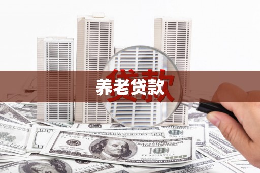 沈丘养老贷款
