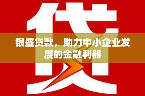 沈丘银盛贷款，助力中小企业发展的金融利器