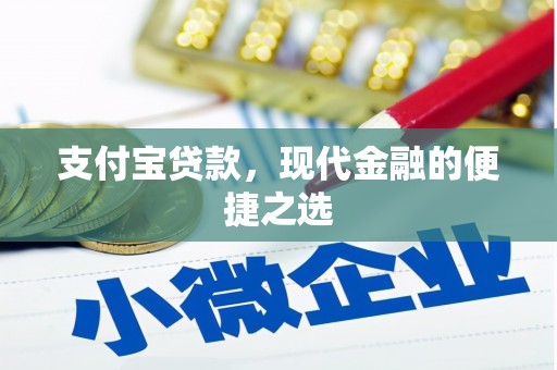 沈丘支付宝贷款，现代金融的便捷之选