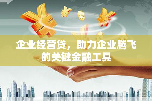沈丘企业经营贷，助力企业腾飞的关键金融工具