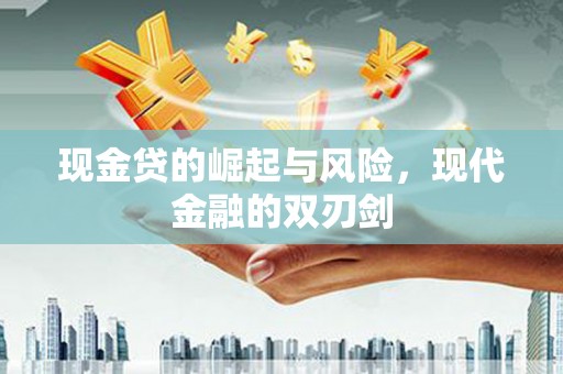 沈丘现金贷的崛起与风险，现代金融的双刃剑