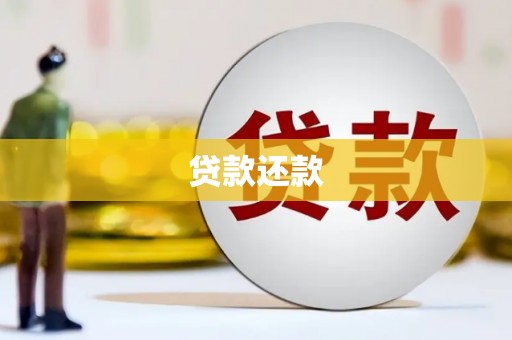 沈丘贷款还款