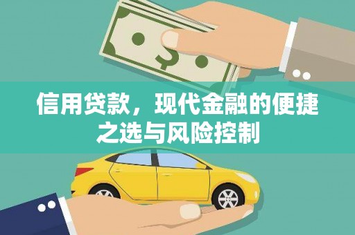 沈丘信用贷款，现代金融的便捷之选与风险控制