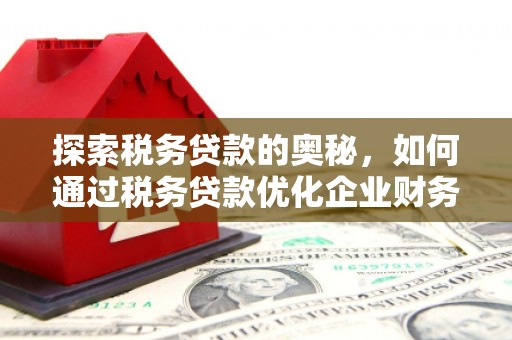沈丘探索税务贷款的奥秘，如何通过税务贷款优化企业财务