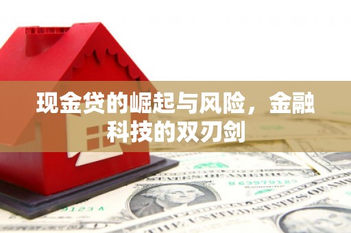 沈丘现金贷的崛起与风险，金融科技的双刃剑