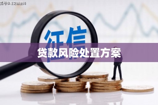沈丘贷款风险处置方案