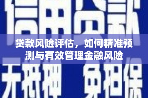 沈丘贷款风险评估，如何精准预测与有效管理金融风险