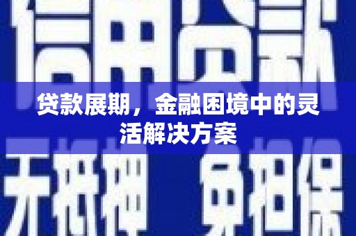 沈丘贷款展期，金融困境中的灵活解决方案