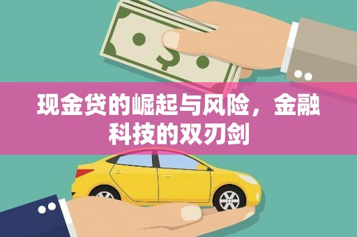 沈丘现金贷的崛起与风险，金融科技的双刃剑