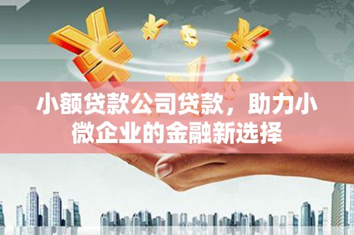 沈丘小额贷款公司贷款，助力小微企业的金融新选择