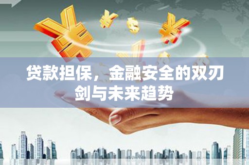沈丘贷款担保，金融安全的双刃剑与未来趋势
