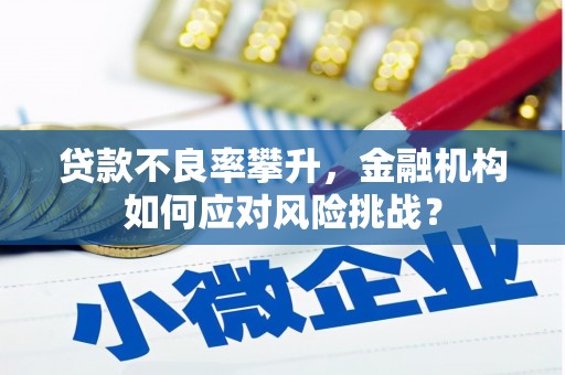 沈丘贷款不良率攀升，金融机构如何应对风险挑战？
