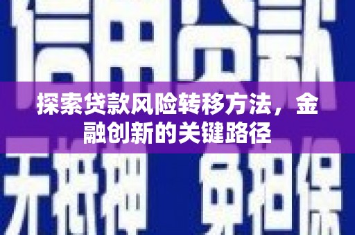 沈丘探索贷款风险转移方法，金融创新的关键路径