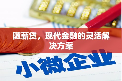 沈丘随薪贷，现代金融的灵活解决方案