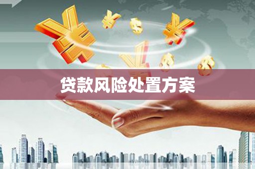 沈丘贷款风险处置方案