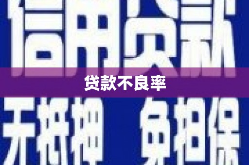 沈丘贷款不良率