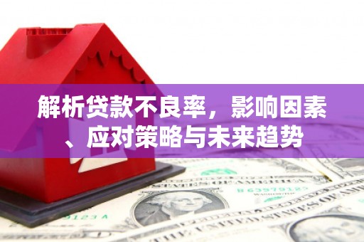 沈丘解析贷款不良率，影响因素、应对策略与未来趋势