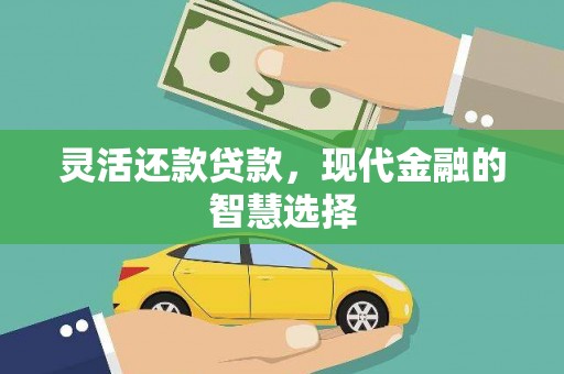 沈丘灵活还款贷款，现代金融的智慧选择