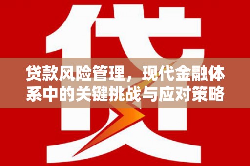 沈丘贷款风险管理，现代金融体系中的关键挑战与应对策略
