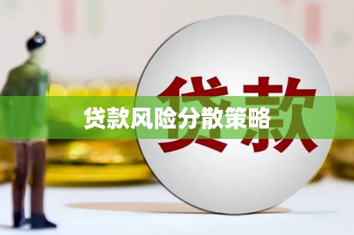 沈丘贷款风险分散策略