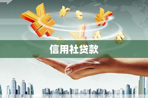 沈丘信用社贷款