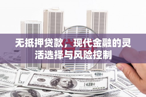 沈丘无抵押贷款，现代金融的灵活选择与风险控制