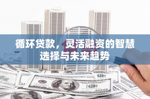 沈丘循环贷款，灵活融资的智慧选择与未来趋势